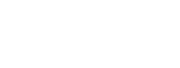 GCStiehl Logo